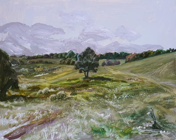 Kirsty Neilson, The Paddock, 2022