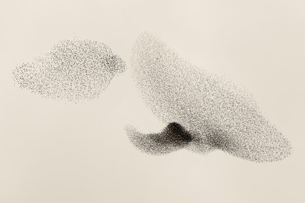 Søren Solkær Black Sun #9, 2020 Archival Print on Japanese Washi Paper Multiple sizes available: 42 x 59cm - Edition of 5 plus 2 AP's 59 x 84cm - Edition of 5 plus 2 AP's 84 x 119cm - Edition of 7 plus 2 AP's 130 x 190cm - Edition of 1 only