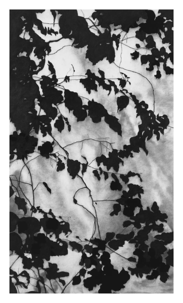 Kathryn Ryan, Bastikiya I, 2021