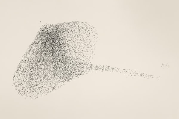 Søren Solkær Black Sun #13, 2020 Archival Print on Japanese Washi Paper Multiple sizes available: 42 x 59cm - Edition of 5 plus 2 AP's 59 x 84cm - Edition of 5 plus 2 AP's 84 x 119cm - Edition of 7 plus 2 AP's 130 x 190cm - Edition of 1 only