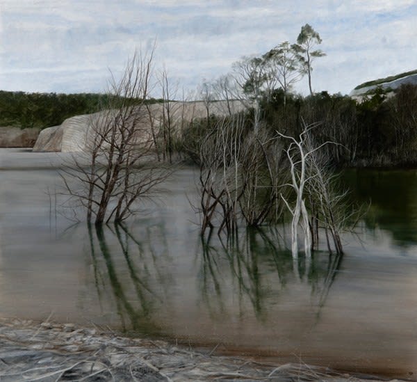 Nicholas Blowers Partly Submerged, Savage River Tailing Ponds, 2015 Oil on Canvas 89 x 98cm