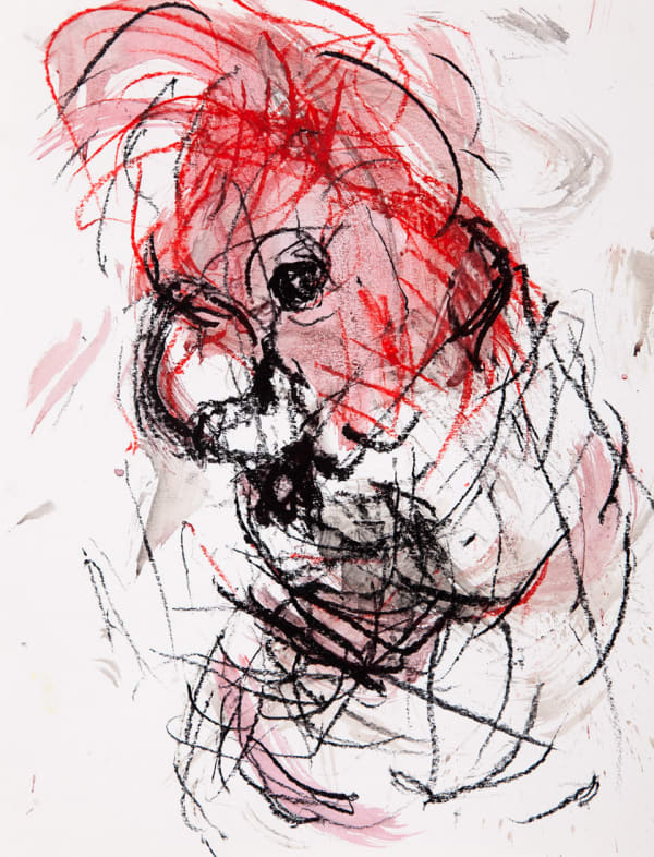 Jody Graham Glove drawing 12 - Gang-Gang Cockatoo, 2024 Charcoal and pastel on paper 35cm x 28cm