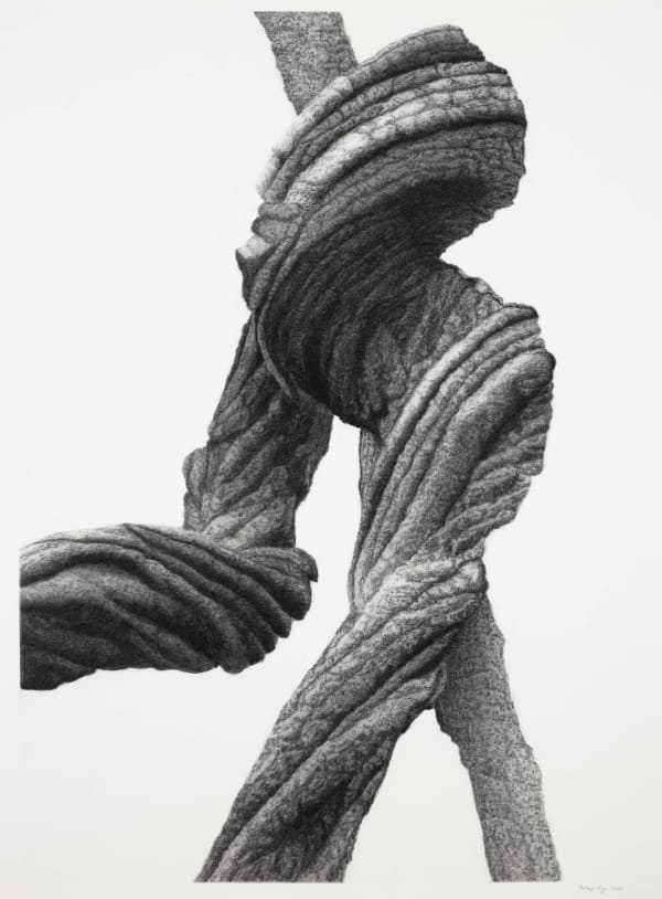 Kathryn Ryan, Intertwined III, 2025