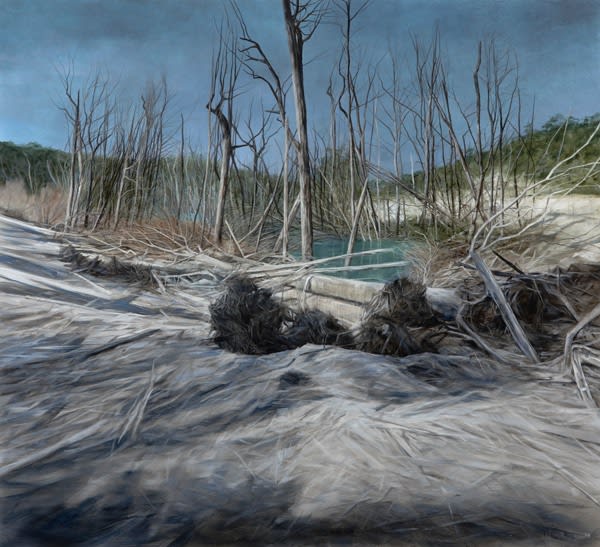 Nicholas Blowers Creeping Shadows, Felled Trees, Savage River Tailing Ponds , 2015 Oil on Canvas 100 x 110cm