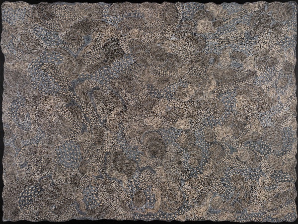 Jorna Newberry Ngintaka Perentie, (JNKM 7), 2022 Acrylic on linen 183 x 243cm