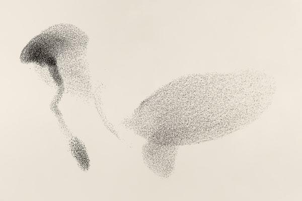 Søren Solkær Black Sun #14, 2020 Archival Print on Japanese Washi Paper Multiple sizes available: 42 x 59cm - Edition of 5 plus 2 AP's 59 x 84cm - Edition of 5 plus 2 AP's 84 x 119cm - Edition of 7 plus 2 AP's 130 x 190cm - Edition of 1 only