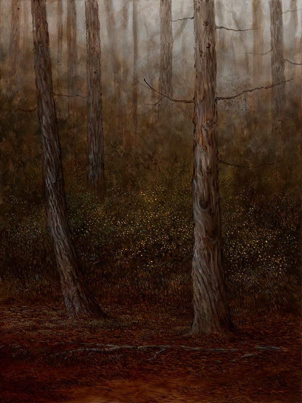 Adam Nudelman Cradle Mountain Forest, 2012 Oil on Linen 61 x 46cm