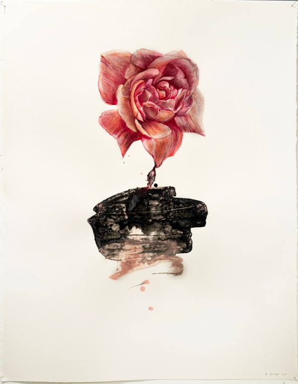 Floria Tosca Rose, 2024 Water based paint and pencil on paper 76 x 58cm