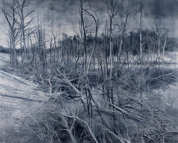 Pond Requiem: Unstable Landscapes from Savage River