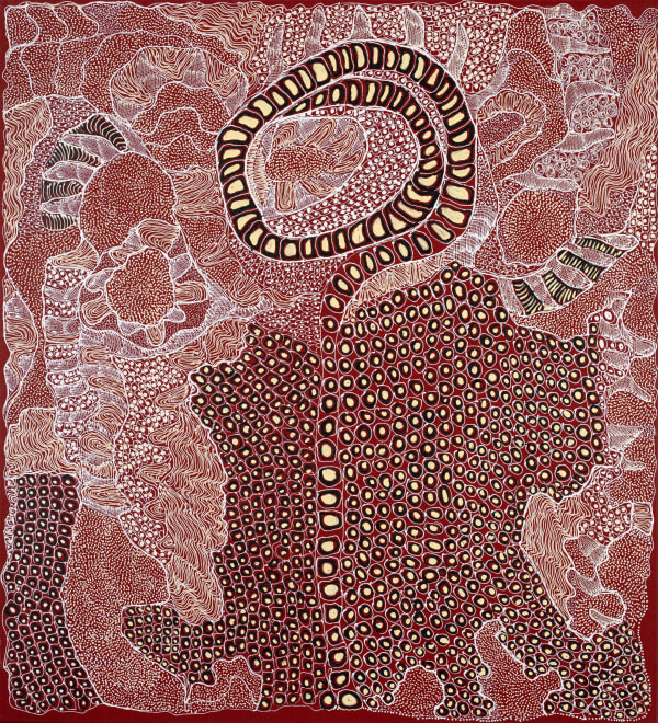 Jorna Newberry Ngintaka Perentie, (JNKM20822), 2022 Acrylic on linen 102 x 112cm