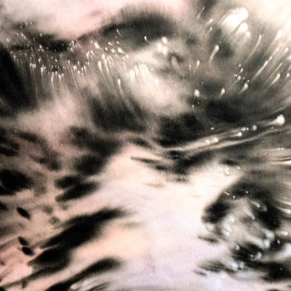 Christopher Horder Bloom IV , 2017 Acrylic, watercolour, Indian ink on canvas 60x60cm