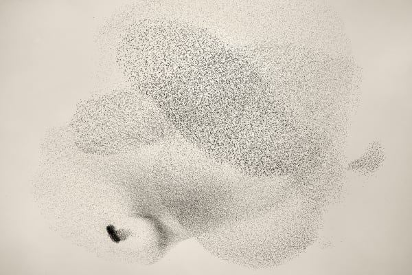 Søren Solkær Black Sun #69, 2020 Archival Print on Japanese Washi Paper Multiple sizes available: 42 x 59cm - Edition of 5 plus 2 AP's 59 x 84cm - Edition of 5 plus 2 AP's 84 x 119cm - Edition of 7 plus 2 AP's 130 x 190cm - Edition of 1 only