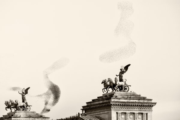 Søren Solkær Black Sun #141, 2020 Archival Print on Japanese Washi Paper Multiple sizes available: 42 x 59cm - Edition of 5 plus 2 AP's 59 x 84cm - Edition of 5 plus 2 AP's 84 x 119cm - Edition of 7 plus 2 AP's 130 x 190cm - Edition of 1 only