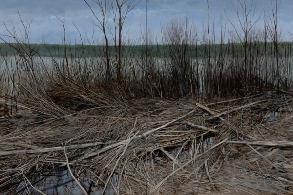 Nicholas Blowers Flattened branches, sound of water birds, Savage River Tailing Ponds , 2015 Oil on panel 40 x 60cm diptych