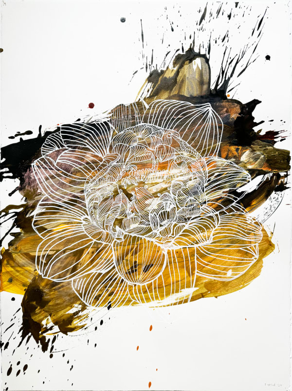 Floria Tosca Lotus, 2024 Water based paint and ink on paper 77 x 58cm