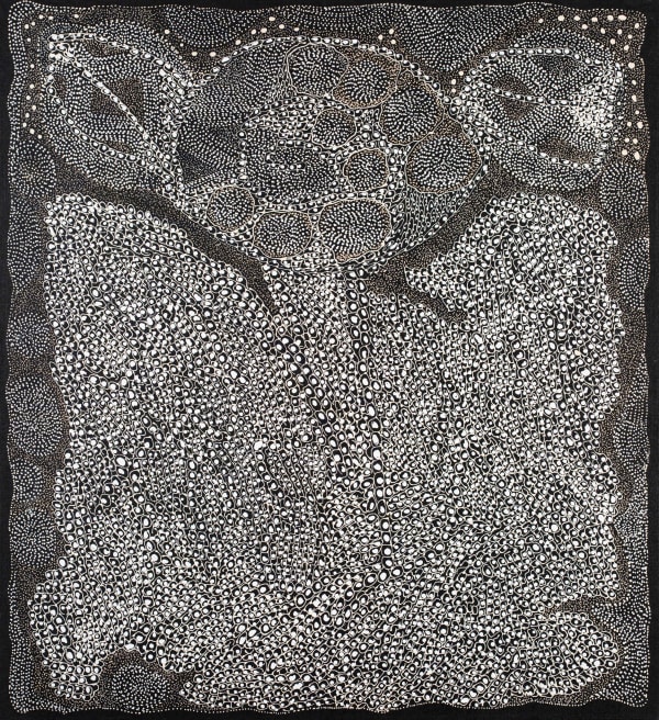 Jorna Newberry Ngintaka Perentie, (JNKM4522), 2022 Acrylic on linen 102 x 112cm