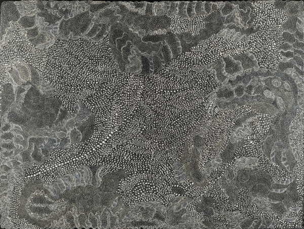 Jorna Newberry Nigintaka Perentie, Nigintaka Perentie (JNKM2012023), 2022 Acrylic on linen 200 x 300cm