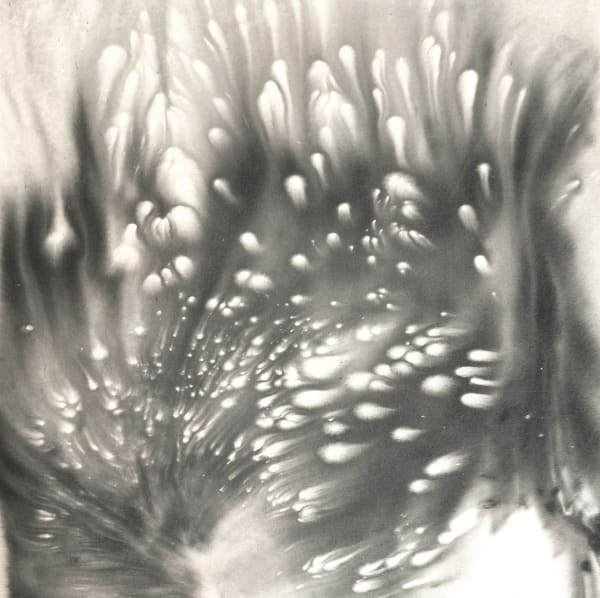 Christopher Horder Bloom VII , 2017 Acrylic, watercolour, Indian ink on canvas 60x60cm