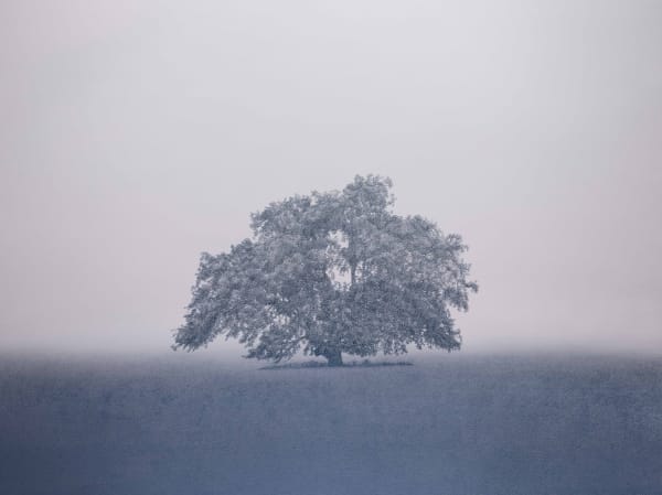 Kathryn Ryan Still Point, 2023 oil on linen 137 x 183cm