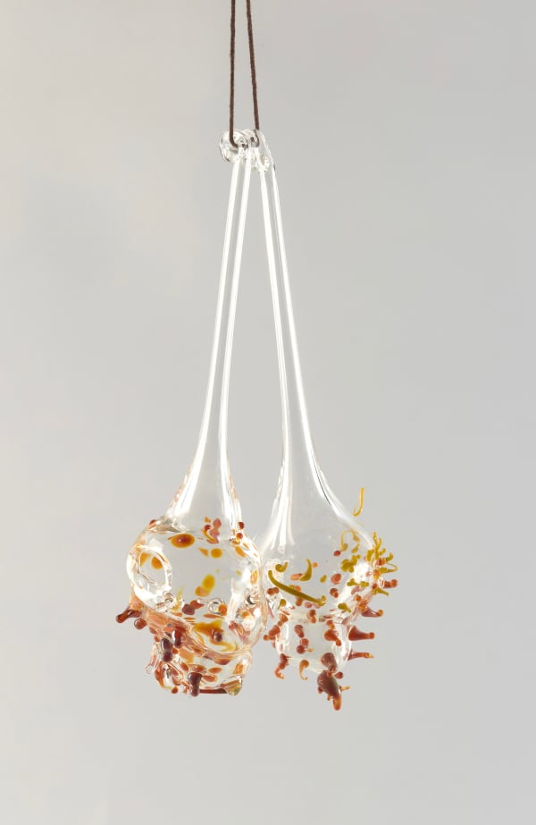 Floria Tosca Cabinet of Trusted Cures #6, 2024-25 Borosilicate glass 12 x 3cm dimensions variable