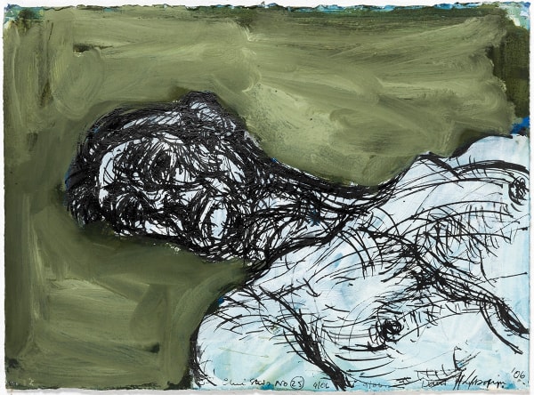 David Fairbairn Study C.S.No. 25, 2006 acrylic gouache pen & ink on paper 28 x 38cm