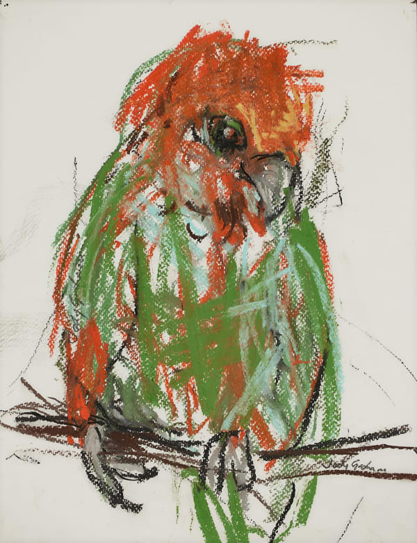 Jody Graham Glove drawing 11 - King Parrot, 2024 Charcoal and pastel on paper 35cm x 28cm