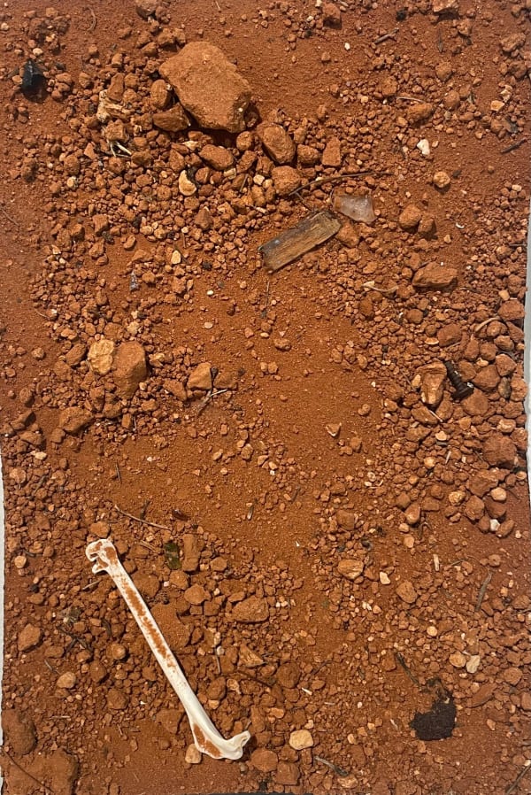 Luke Storrier Little Mammals, 2025 Mixed media on board 30 x 20cm