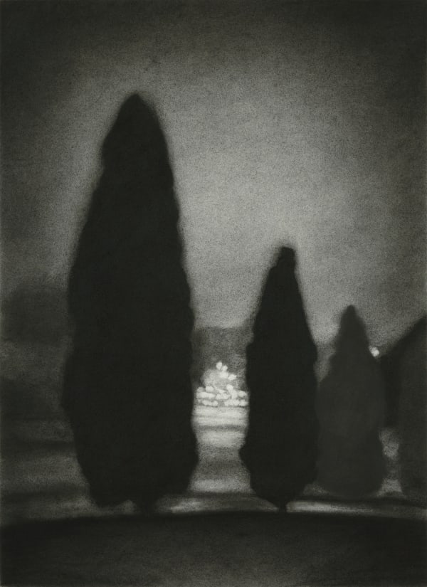 Kathryn Ryan Remembrance , 2018 Charcoal on paper 93 x 72cm framed