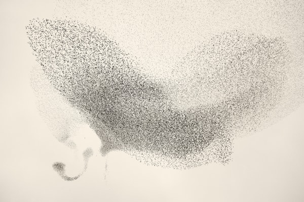 Søren Solkær Black Sun #70, 2020 Archival Print on Japanese Washi Paper Multiple sizes available: 42 x 59cm - Edition of 5 plus 2 AP's 59 x 84cm - Edition of 5 plus 2 AP's 84 x 119cm - Edition of 7 plus 2 AP's 130 x 190cm - Edition of 1 only