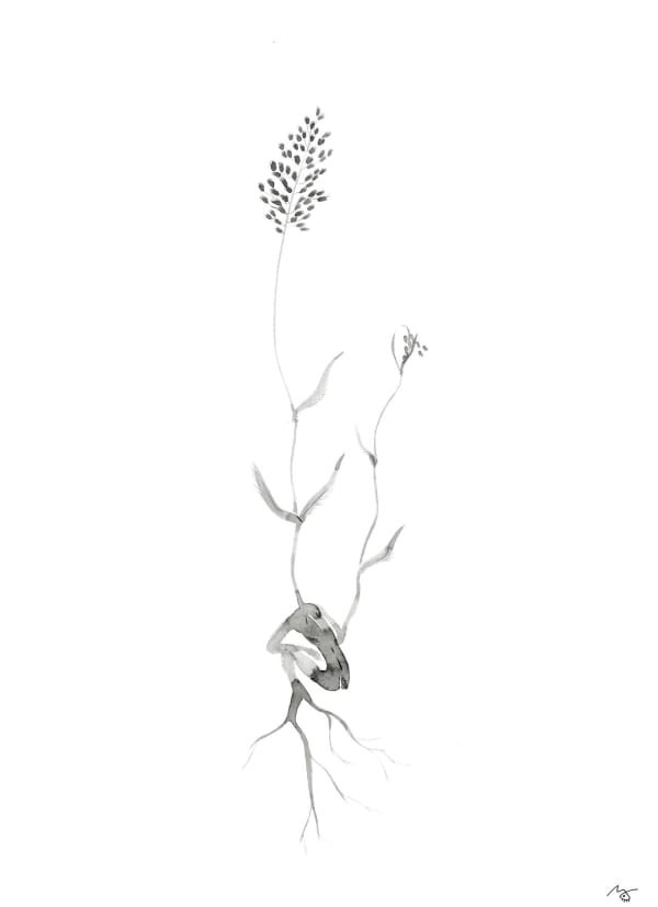 Meng Zhou 周蒙, Flower of Evil: Lush 恶之花：芊, 2020