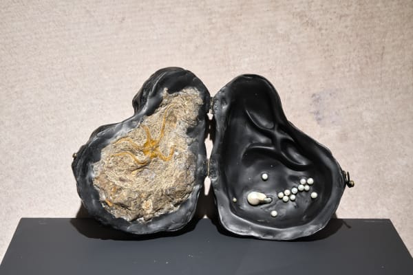 Meng Zhou 周蒙, Kuiper Sample No.1 柯伊伯样品1号, 2022