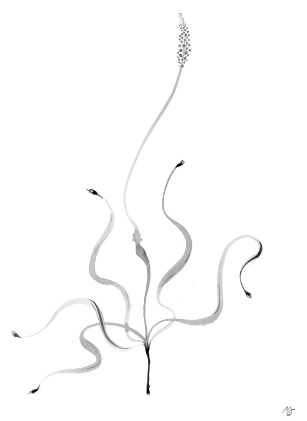 Meng Zhou 周蒙, Flower of Evil：Aromas 恶之花：芳, 2020