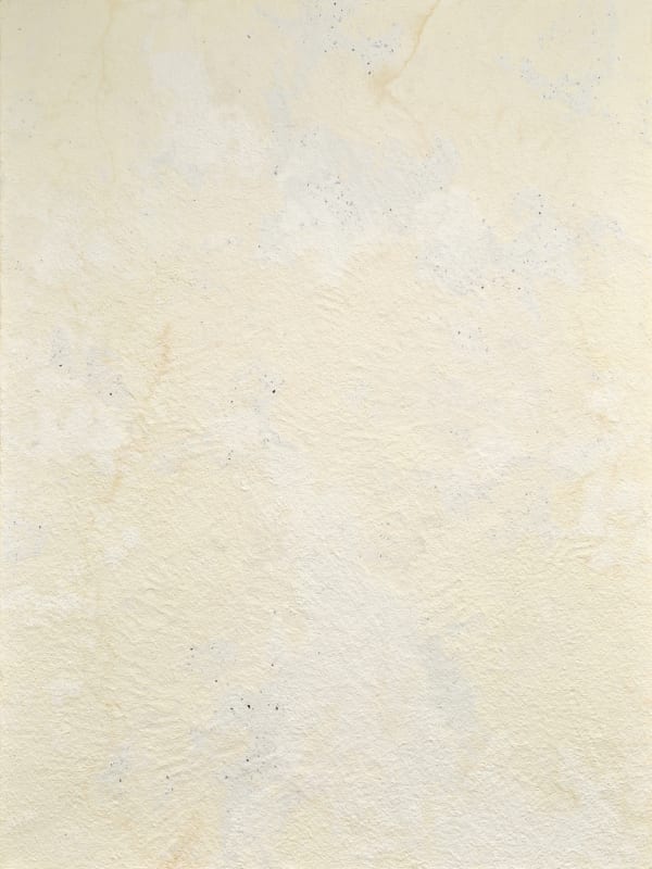 Meng Zhou 周蒙, Adoration of the Earth: Rain Water 1 大章：雨水 1, 2019