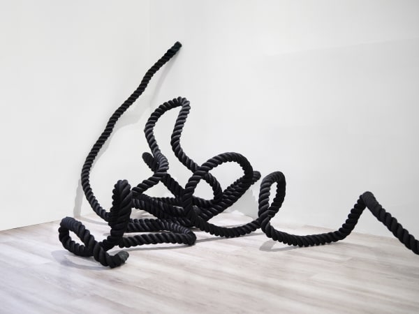 Ruyun Gao 高入云, Protein 蛋白质, 2024