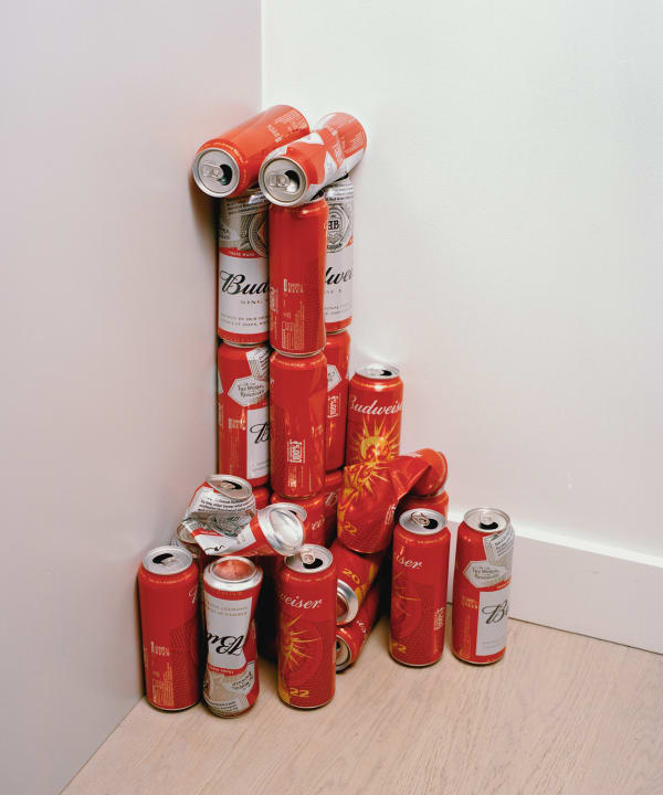 Ziyu Wang 王子钰, Beer Cans 啤酒罐, 2022
