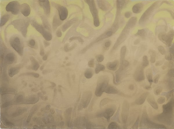 Xiaochi Dong 董孝驰, Vivarium of Escudo 埃斯库德的生态缸, 2023