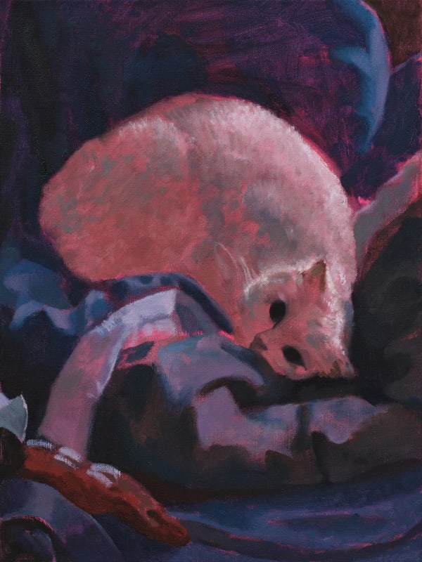 Killion Huang 黄加煜, Observer 凝者 , 2024