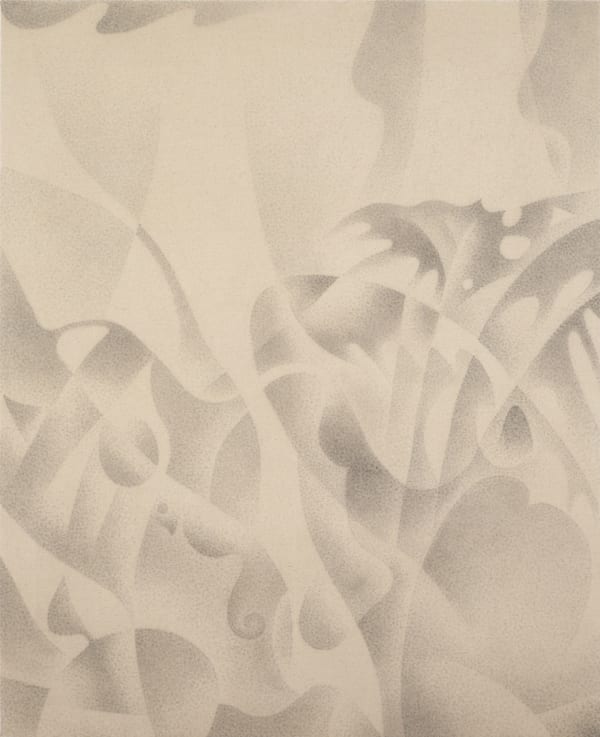 Xiaochi Dong 董孝驰, Understory（Madagascar） 森林地表 , 2024