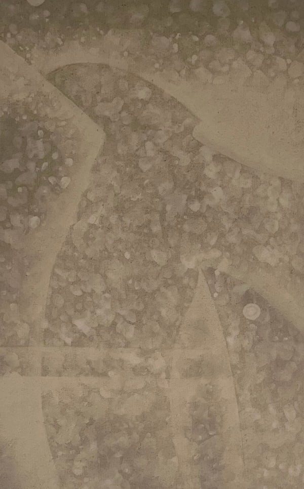 Xiaochi Dong 董孝驰, Photosynthesis 光合作用, 2023