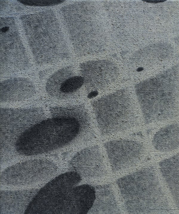 Xiaochi Dong 董孝驰, Water Lily 睡莲, 2024