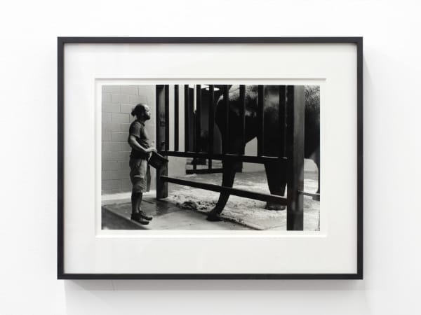 Zhi Qiu 邱止, Where Hunt is Absent 3 捕猎缺席的地方 3, 2024