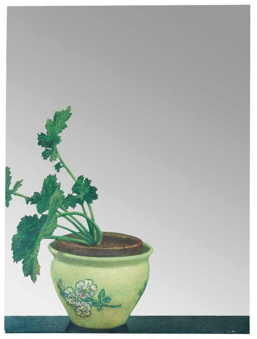 Michelangelo Pistoletto Vaso con Planta Verde Papier peint sur acier inoxydable poli en miroir 76 x 57,1 cm (archives)