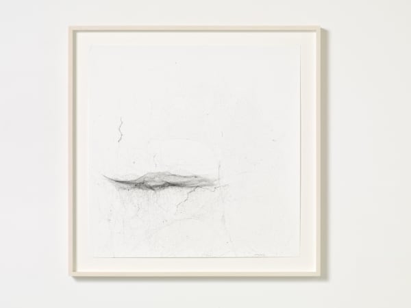 Tomás Saraceno Solitary Semi-Social Mapping Of Trinculo 749.40, 2016 soie d'araignée et encre sur papier d'archive 64 x 64 cm