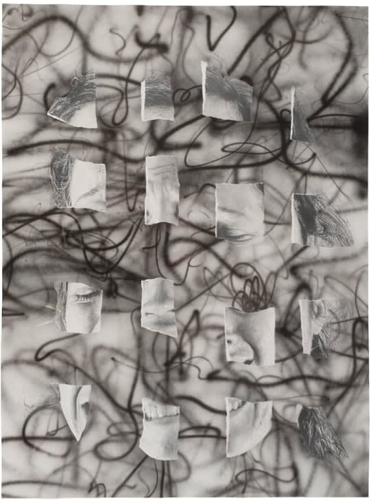 Jim Shaw, Untitled (Ripped Face Drawing), 2003-2004