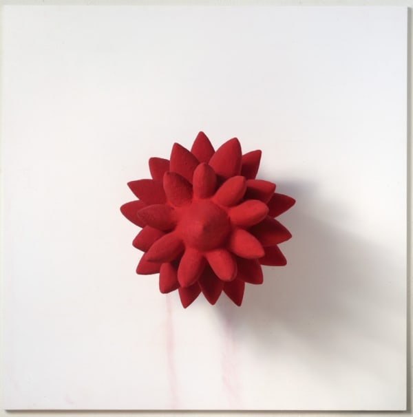 Anish Kapoor 1000 Names bois, polystyrène et pigment 47 x 41 x 41 cm