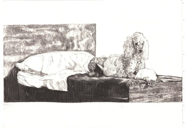 Maya Zack Poddle Bed mine de plomb sur papier 41 x 58,8 cm