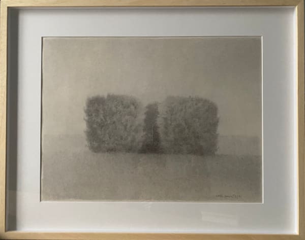 Shan Weijun, Arbuste 3, 2023