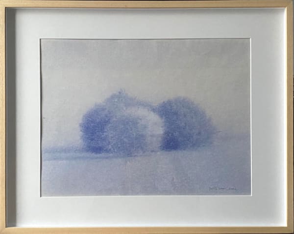 Shan Weijun, Arbuste 4, 2023