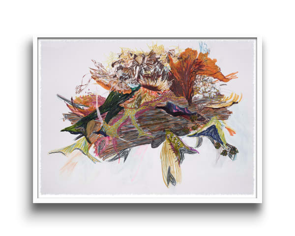 Erin Treacy Island Centerpiece 13, 2020 Continuous tone photographic print on Arches paper 21 x 27 in. framed (53.3 x 68.6 cm. framed)