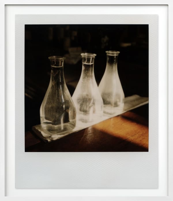 Patrick Sansone, 100 Polaroids, #95, 2008